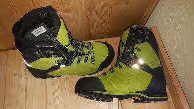 Top im Wald